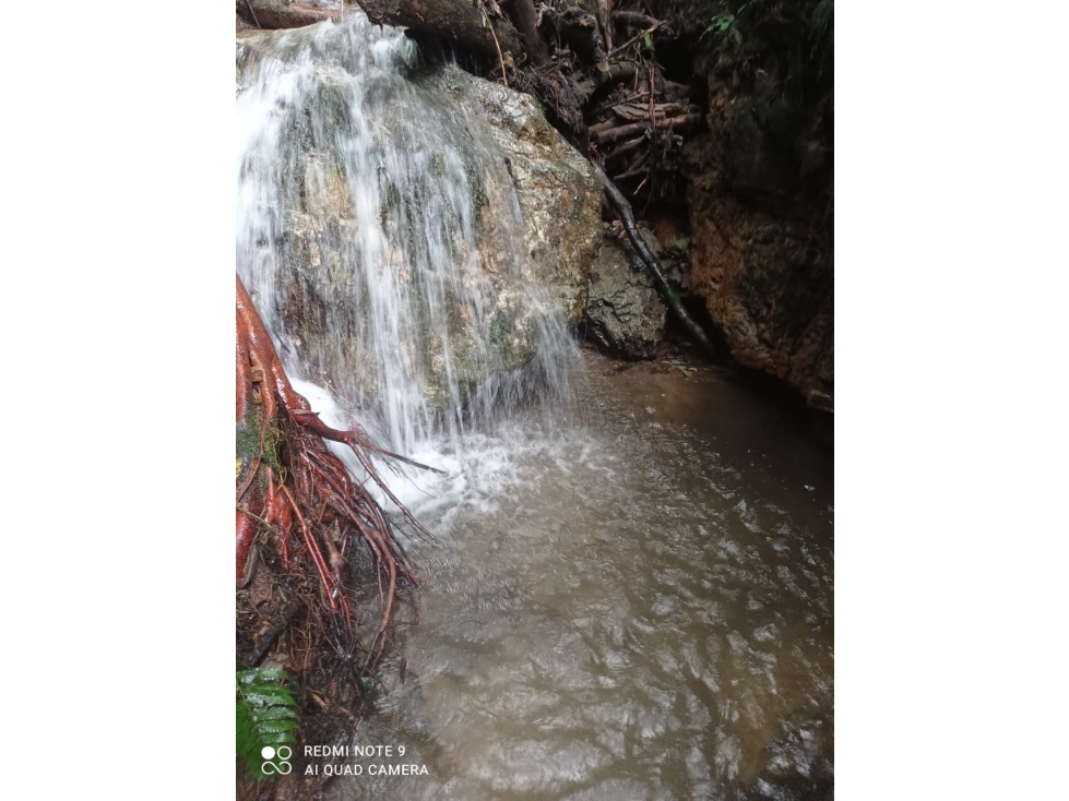 Se Vende Finca En Cordoba - Quindío — foto 3