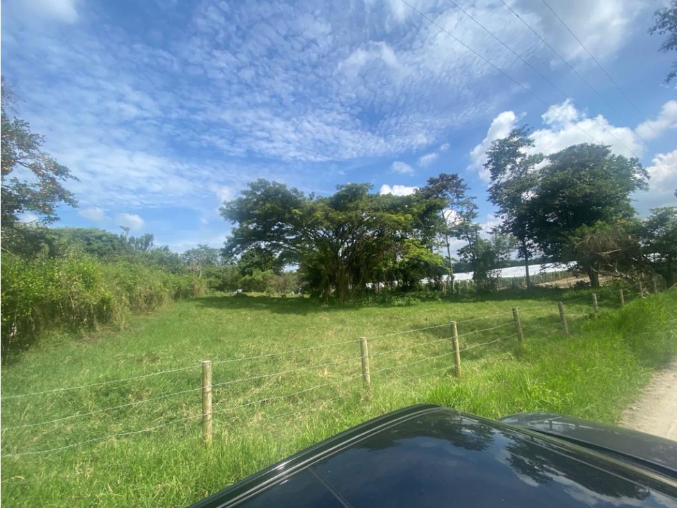 Se Vende Lote En Montenegro - Quindío