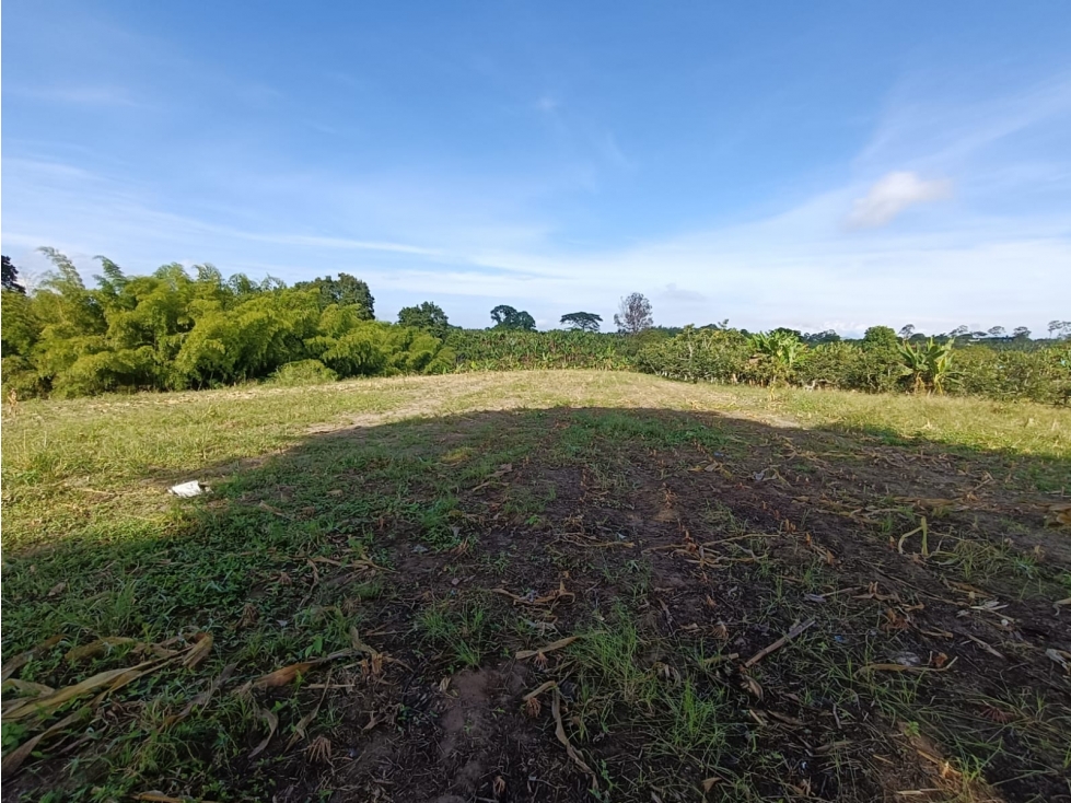 Se Vende Lote Vía Montenegro - La Tebaida - Quindío — foto 2