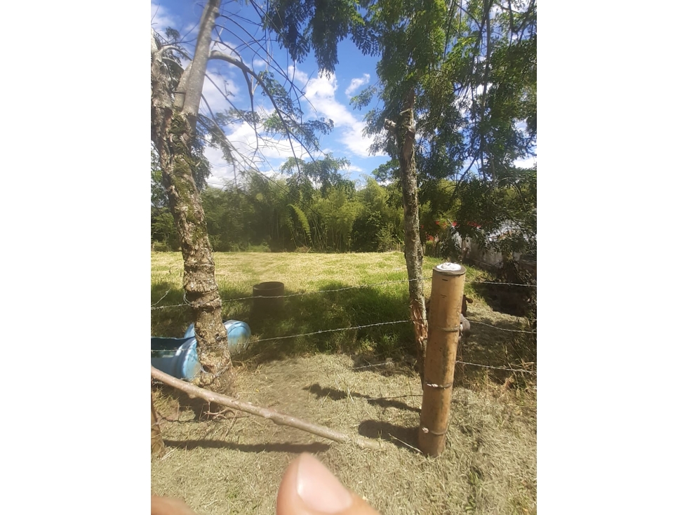 Se Vende Lote S. La Tebaida - Quindío - 2