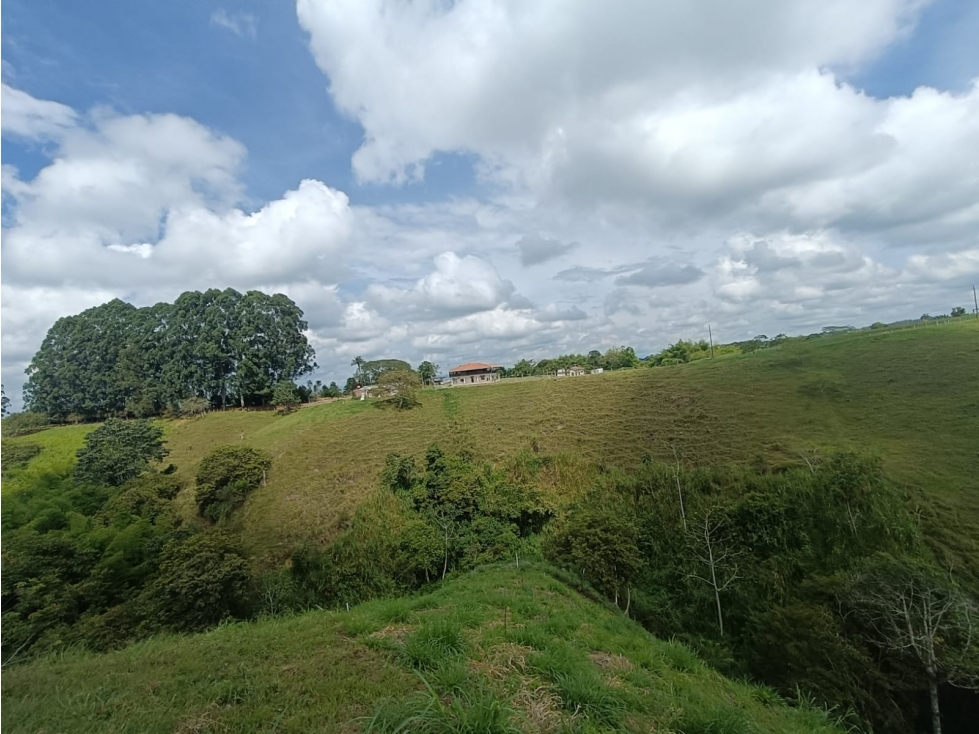 Se Vende Lote En Hojas Anchas - Armenia - Quindío — foto 2