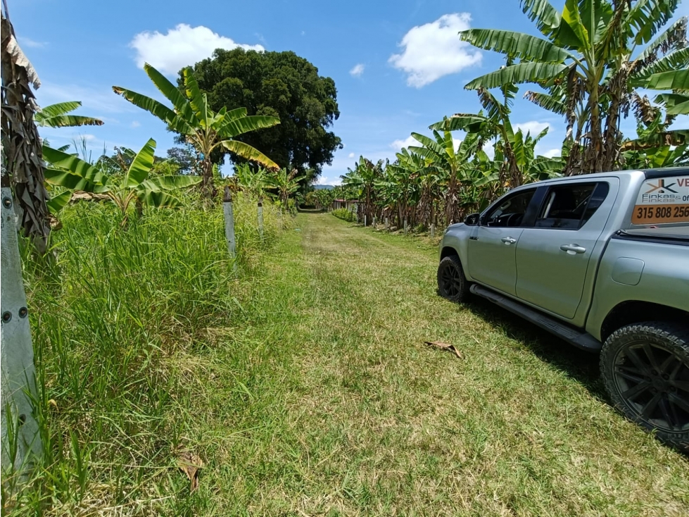 Se Vende Lote En Montenegro - Quindío — foto 3