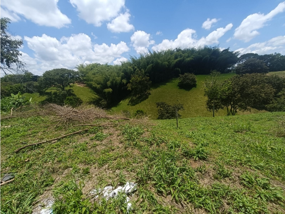 Se Vende Lote En Quimbaya - Quindío - 2