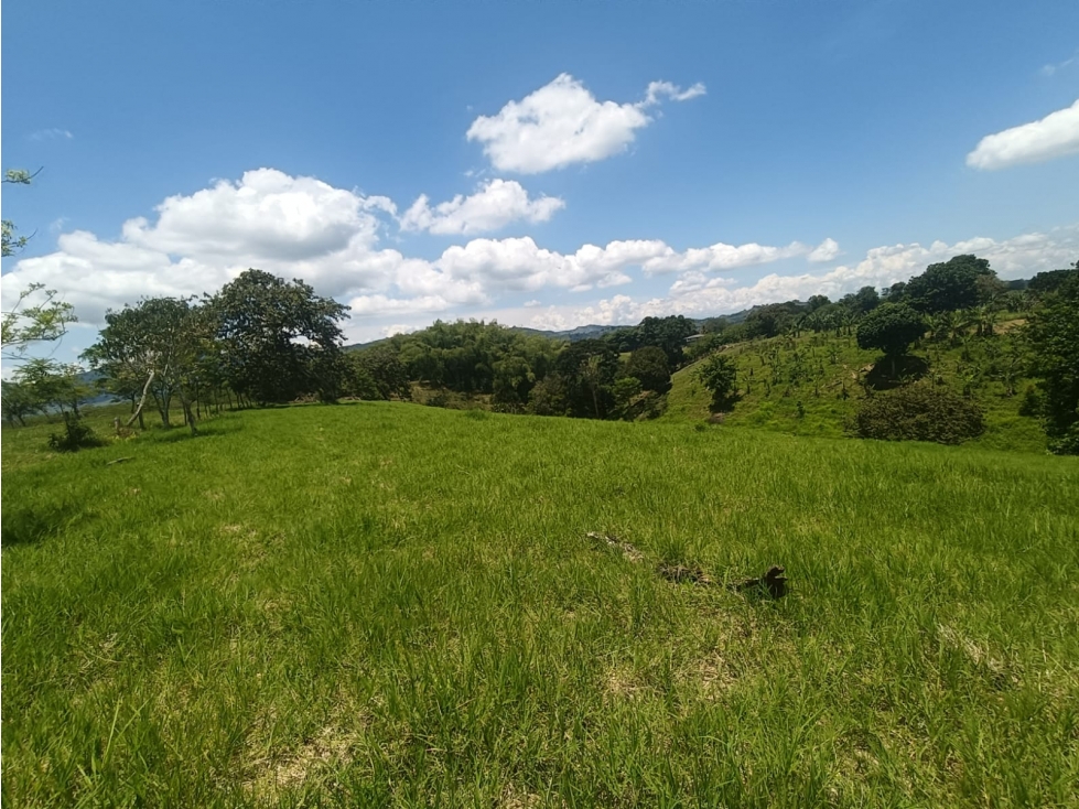 Se Vende Lote En Quimbaya - Quindío - 2
