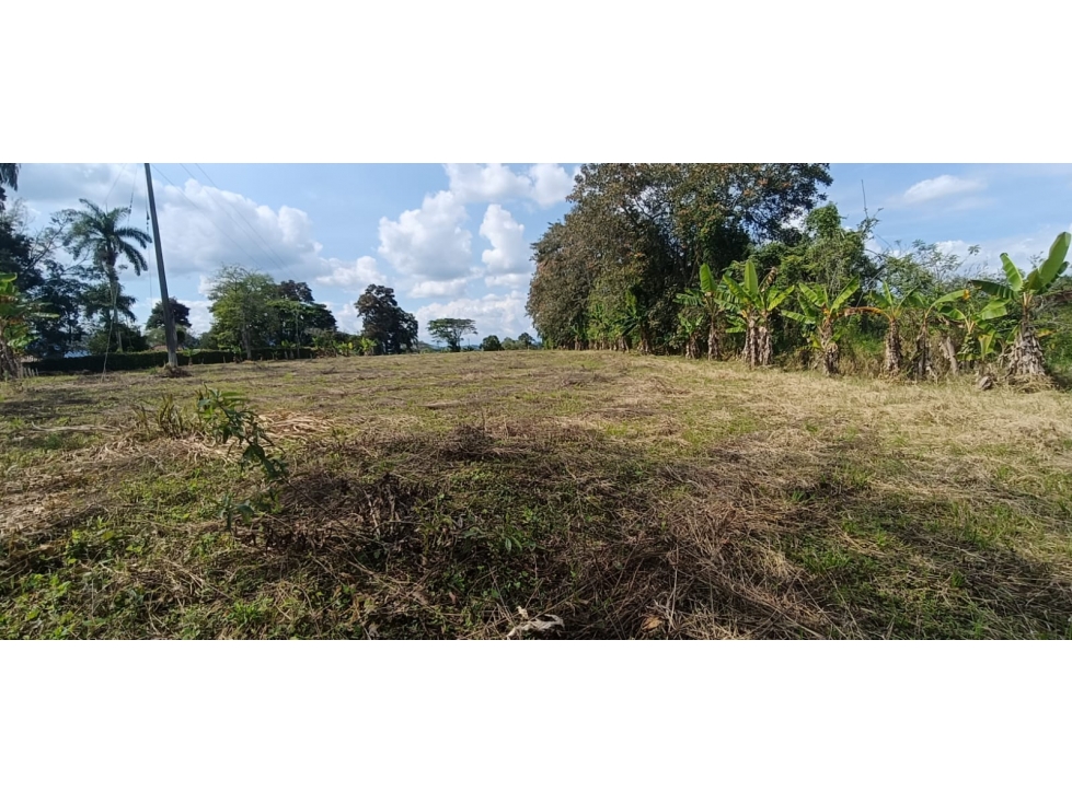 Se Vende Lote Vía Montenegro - Quimbaya - Quindío — foto 3