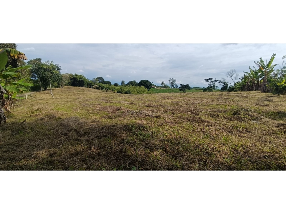 Se Vende Lote Vía Montenegro - Quimbaya - Quindío