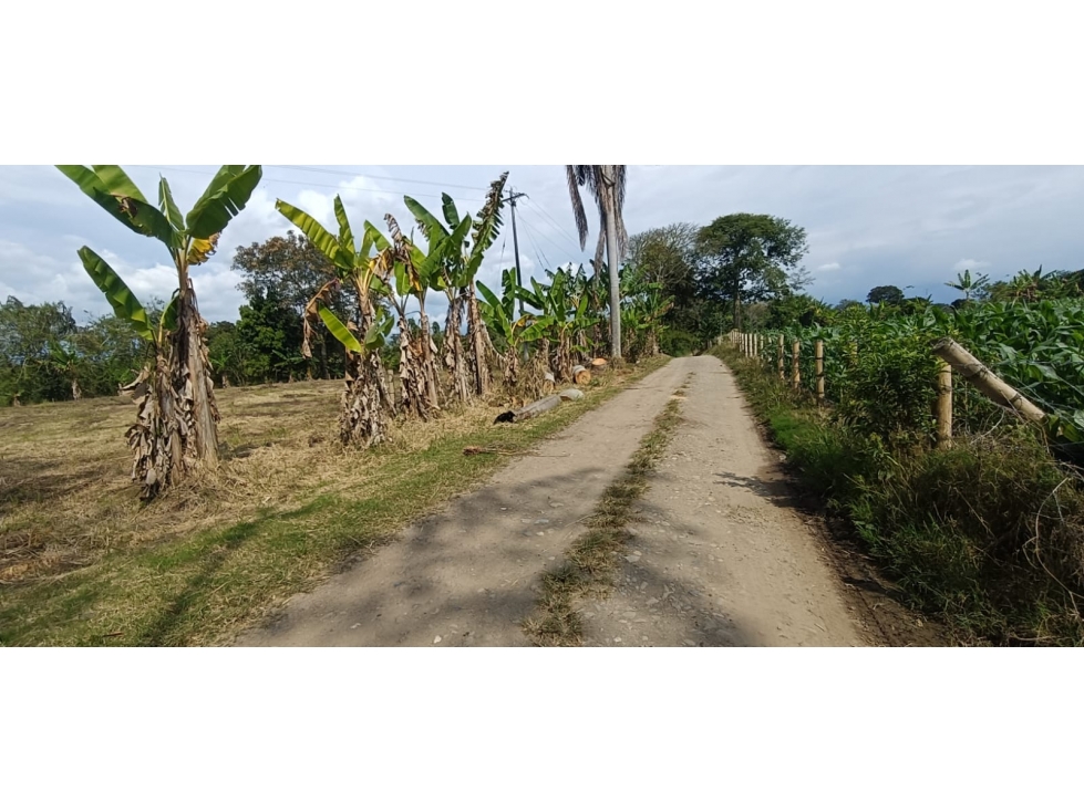 Se Vende Lote Vía Montenegro - Quimbaya - Quindío — foto 6