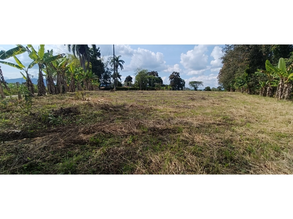 Se Vende Lote Vía Montenegro - Quimbaya - Quindío