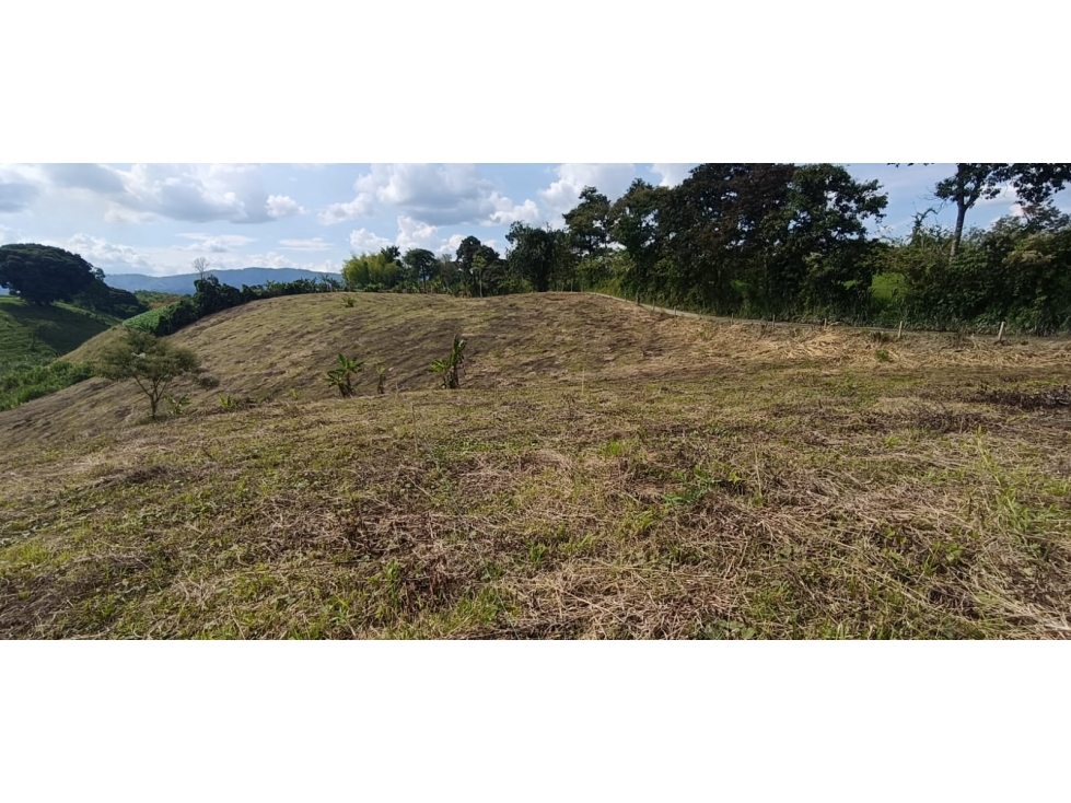 Se Vende Lote Vía Montenegro - Quimbaya - Quindío — foto 6