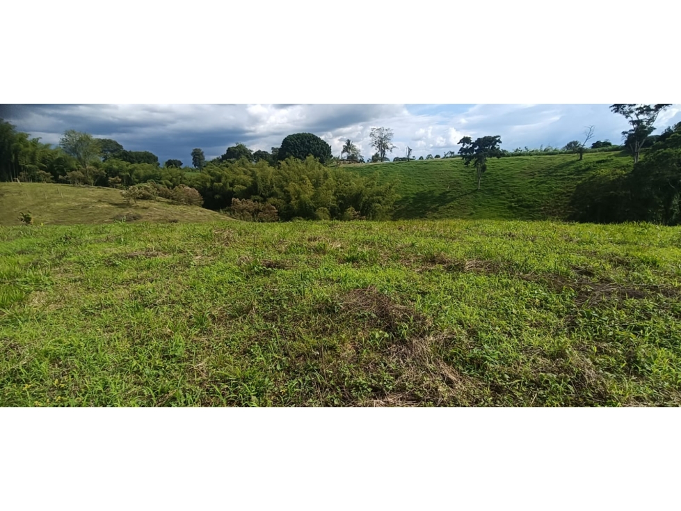 Se Vende Lote Vía Montenegro - Quimbaya - Quindío — foto 2