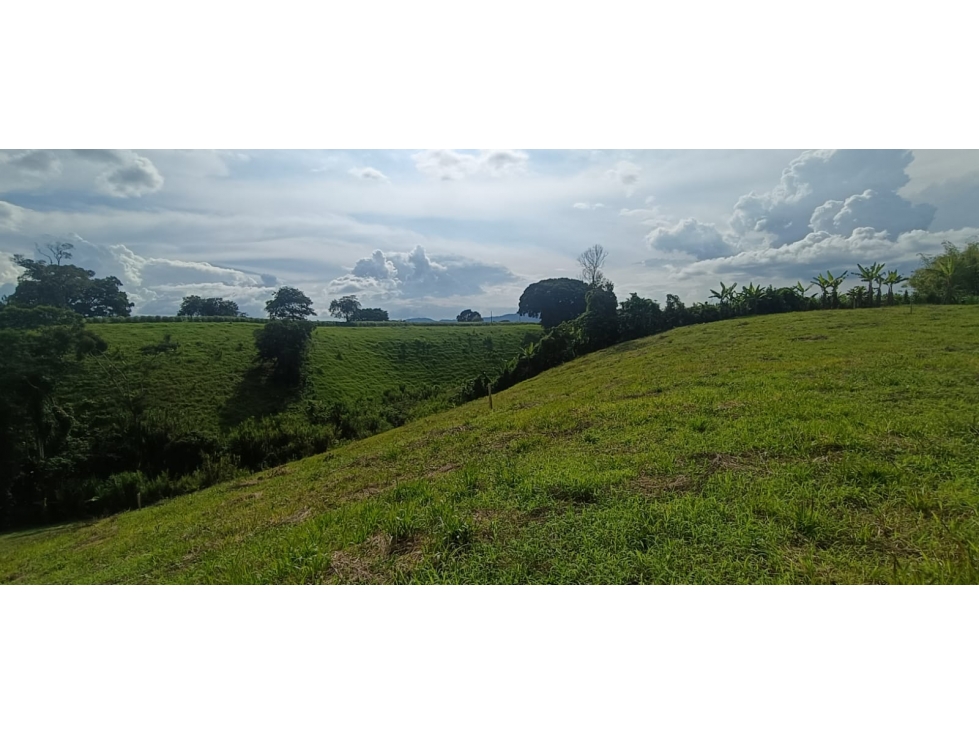 Se Vende Lote Vía Montenegro - Quimbaya - Quindío — foto 3