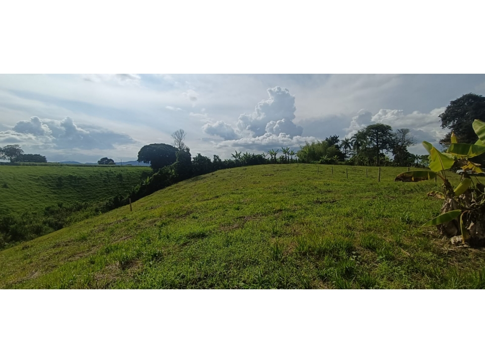Se Vende Lote Vía Montenegro - Quimbaya - Quindío — foto 2