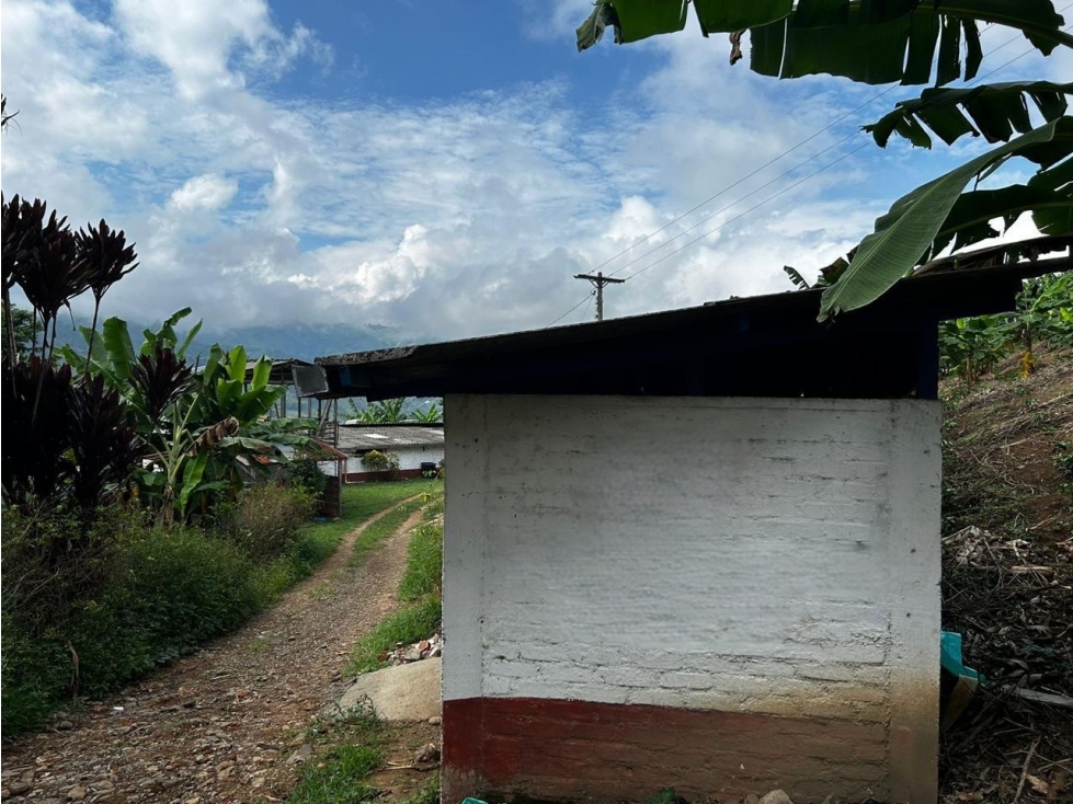 Se Vende Finca Porcicola y Agricola En Sevilla - Valle Del Cauca - 6