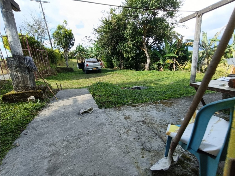 Se Vende Finca En Hojas Anchas - Armenia - Quindío — foto 4