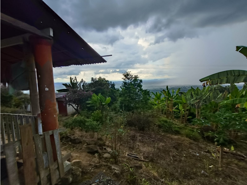 Se Vende Finca En Córdoba - Quindío — foto 6