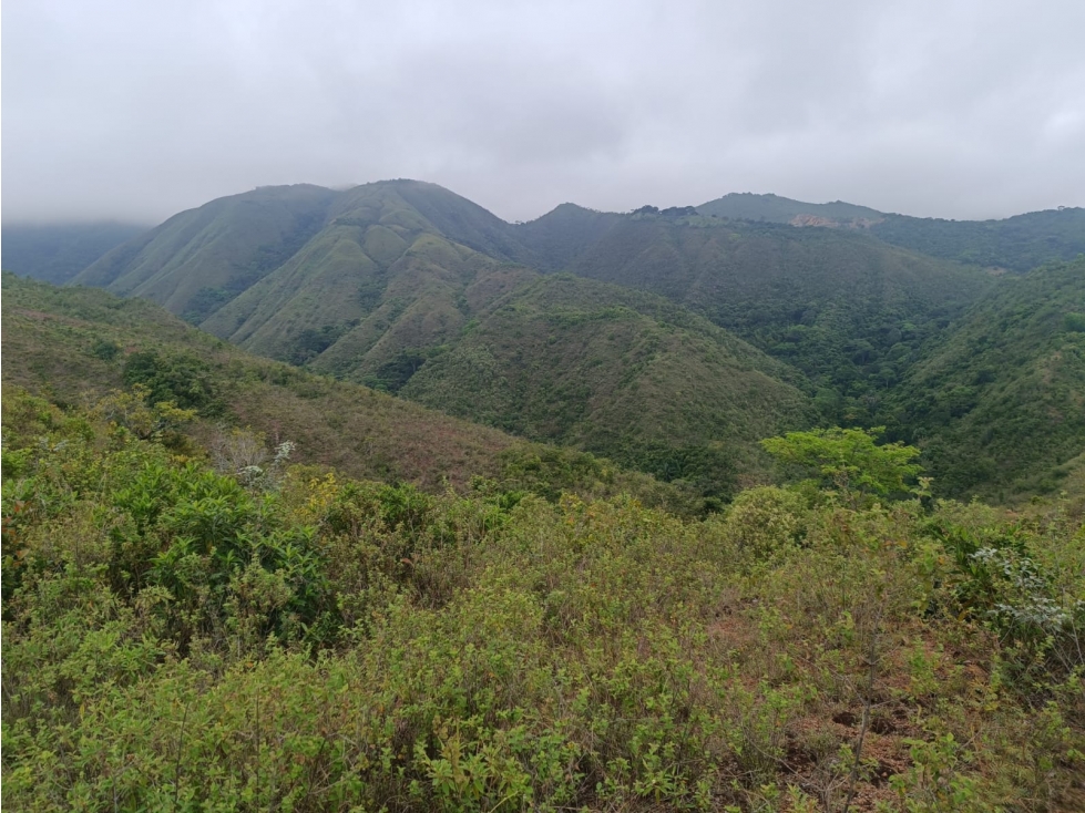 Se Vende Finca en San Luis - Ibague - 2