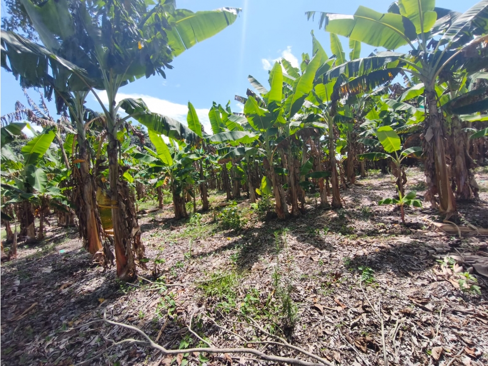 Se Vende Finca Ubicada en Armenia - Quindío. — foto 2