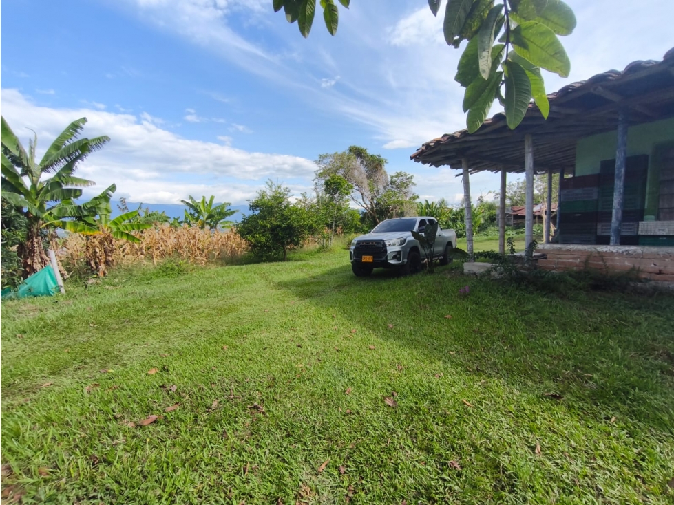 Se Vende Finca en Quimbaya - Quindío. - 2