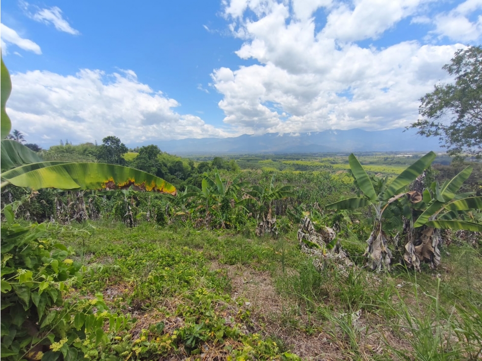 Se Vende Finca ubicada en la Via Pueblo Tapao - La Tebaida - Quindío. - 2