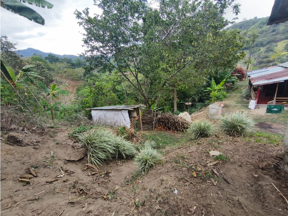 Se Vende Finca en Cordoba - Quindío. - 5