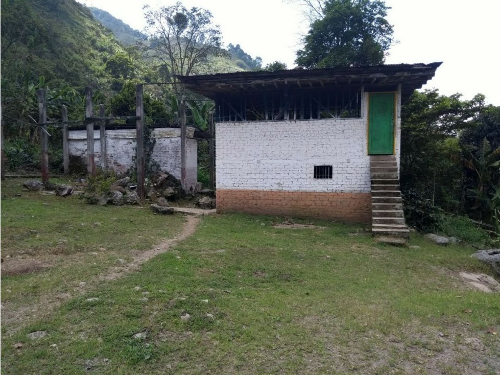 Se vende Finca en Pijao Vda Rio Azul - 3