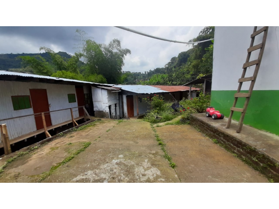 Se vende Finca Córdoba Quindío - 6