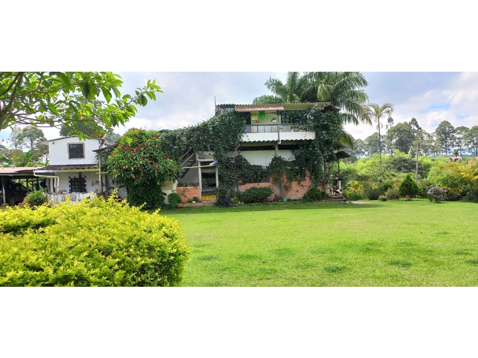 Se vende Finca Circasia Quindío — foto 2