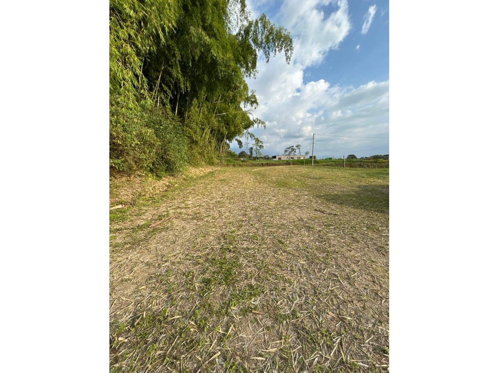 Se vende Lote Vda Hojas anchas Armenia - Circasia Quindío
