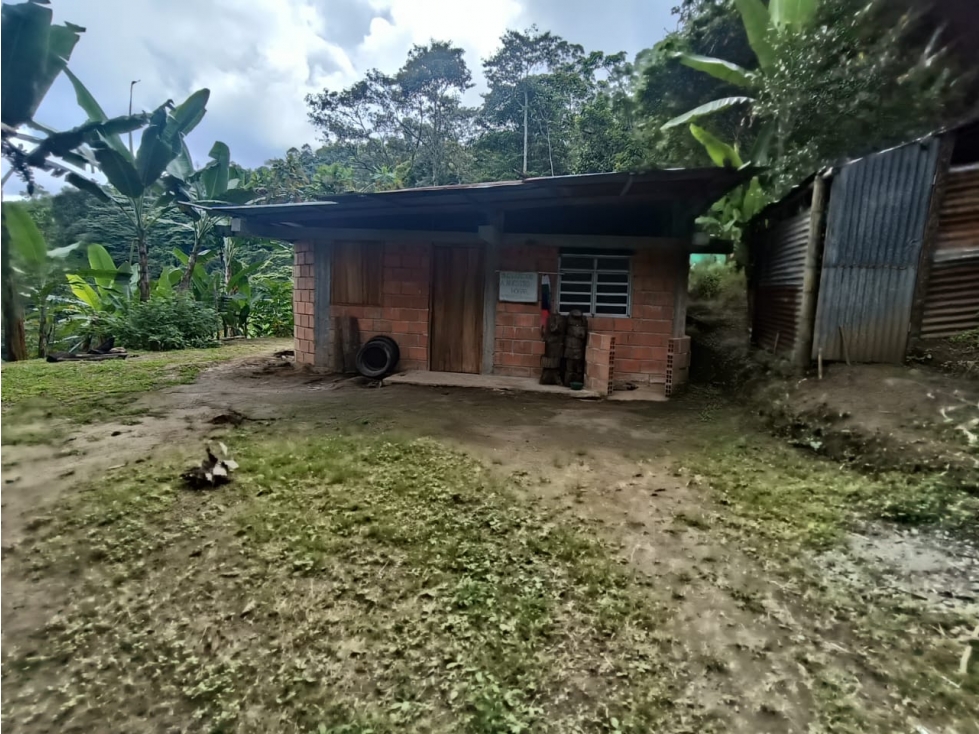 Se Vende Finca En Cordoba - Quindío