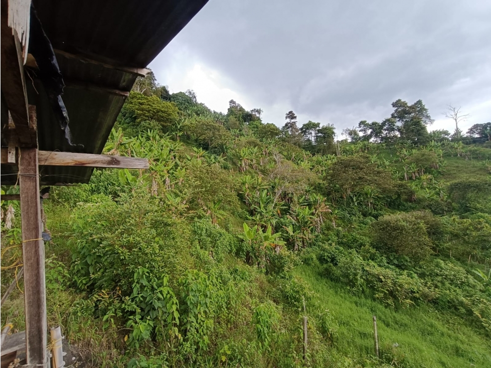 Se Vende Finca En Córdoba - Quindío — foto 4