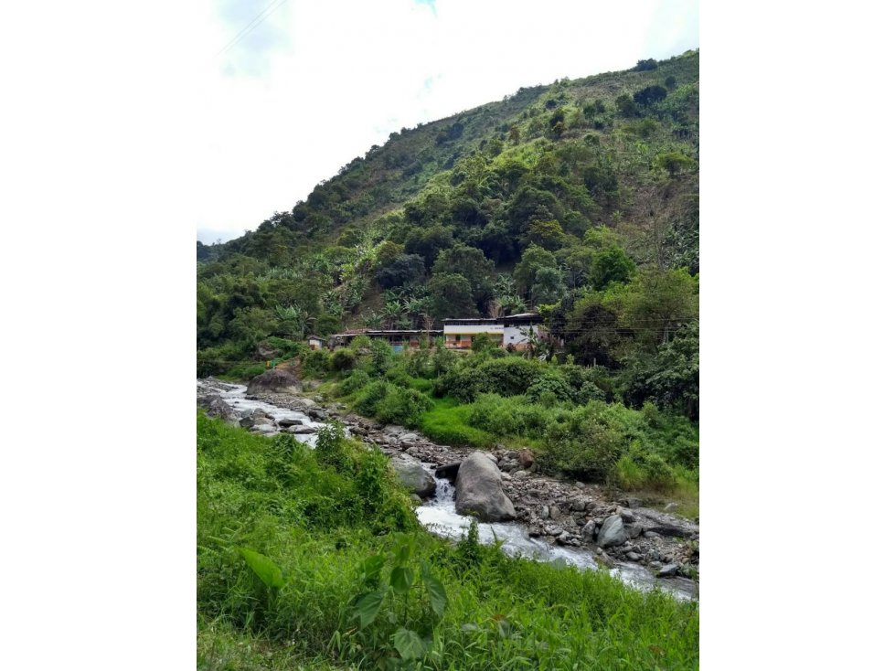 Se vende Finca en Pijao Vda Rio Azul - 5
