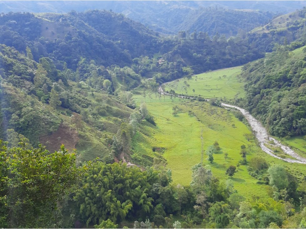 Se Vende Finca De 28 Cuadras En Salento - 3