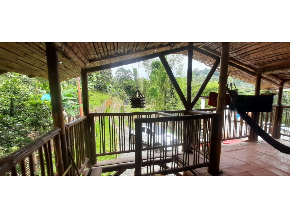 Se vende Finca Sevilla Valle del Cauca - 4