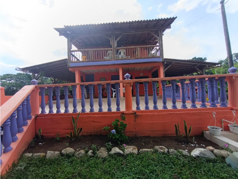 Venta Finca en Buenavista de 17 cuadras - 2