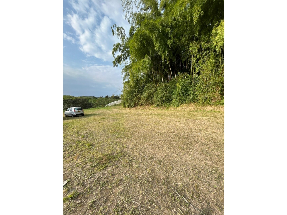 Se vende Lote Vda Hojas anchas Armenia - Circasia Quindío — foto 3