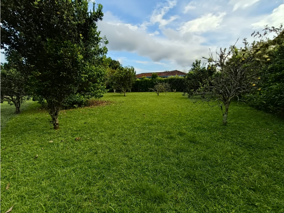 Se Vende Lote En Condominio Campestre S. La Y De Calarca - 5