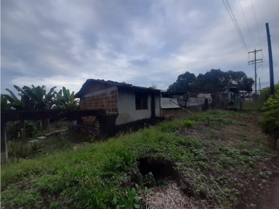 Se Vende Finca En La Y De Calarcá Quindío. - 4