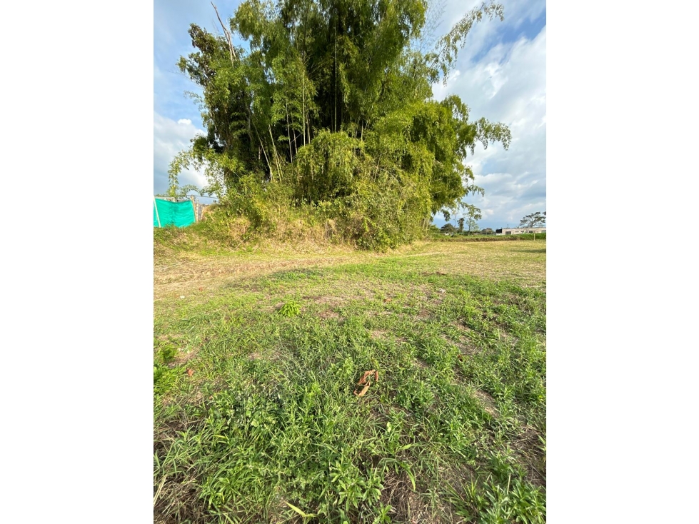 Se vende Lote Vda Hojas anchas Armenia - Circasia Quindío — foto 6