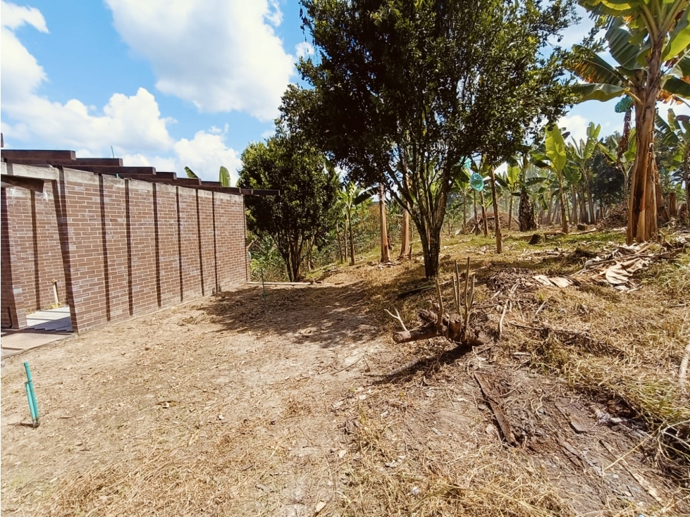 Se Vende Casa Lote En Quimbaya - Quindío - 3