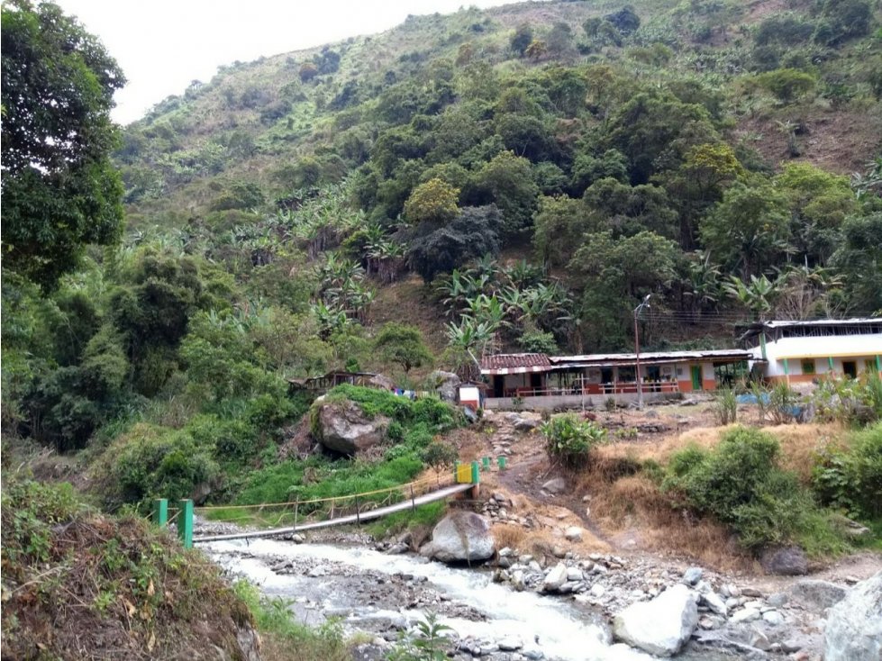 Se vende Finca en Pijao Vda Rio Azul - 4