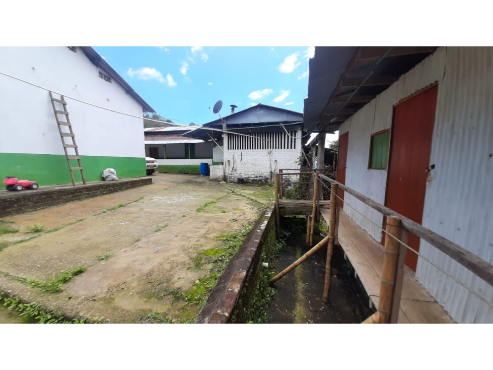 Se vende Finca Córdoba Quindío - 4