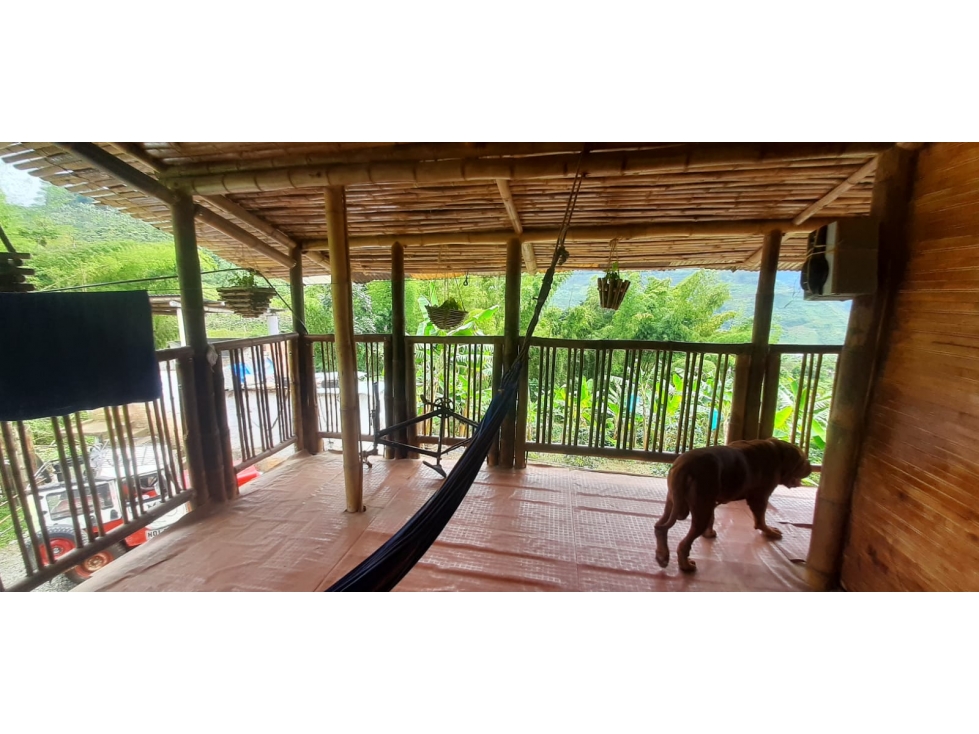 Se vende Finca Sevilla Valle del Cauca - 5