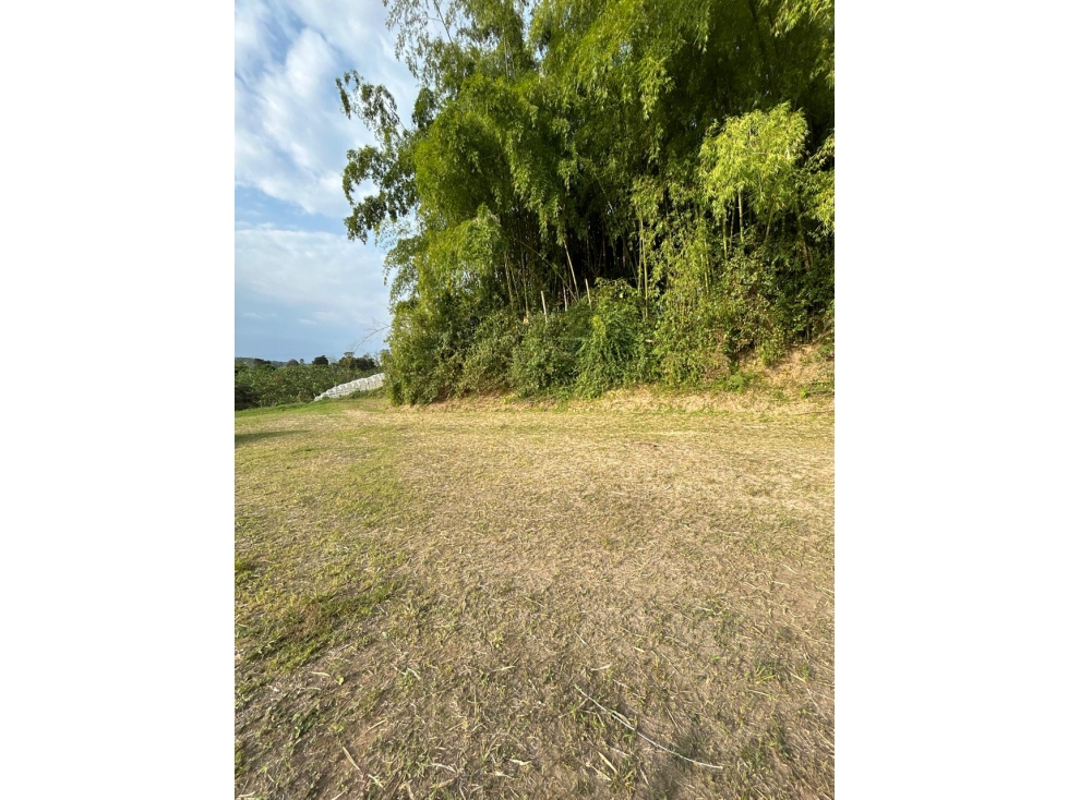 Se vende Lote Vda Hojas anchas Armenia - Circasia Quindío — foto 4