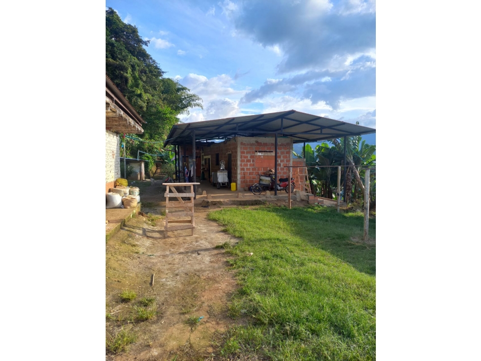 Se Vende Finca En Genova Quindío - 3