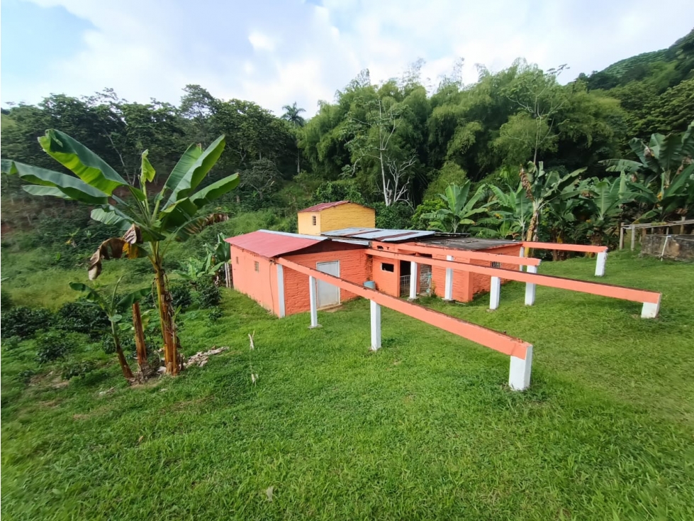 Venta Finca en Buenavista de 17 cuadras - 3