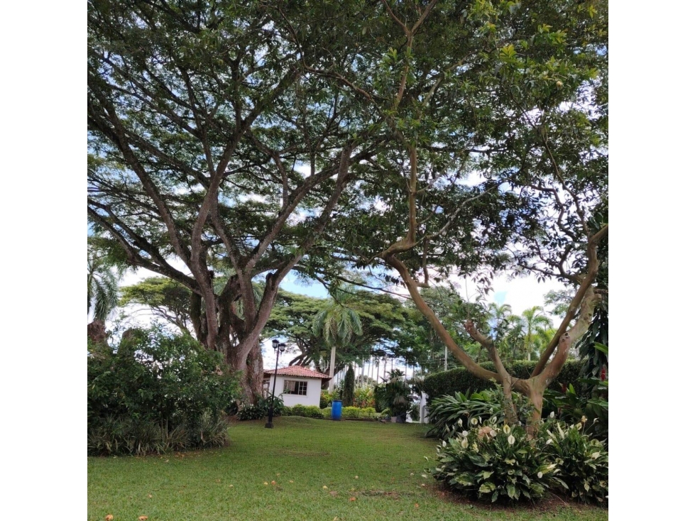 Se Vende Chalet En Condominio Campestre S. Club Campestre - Armenia — foto 6