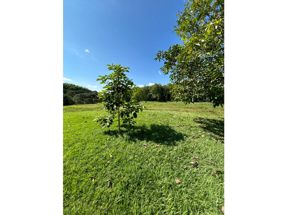 Se Vende Lote Vía Puerto Espejo - Pueblo Tapao — foto 4