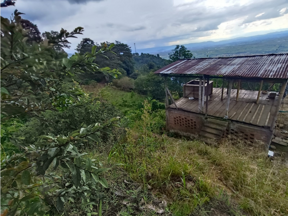 Se Vende Finca En Córdoba - Quindío