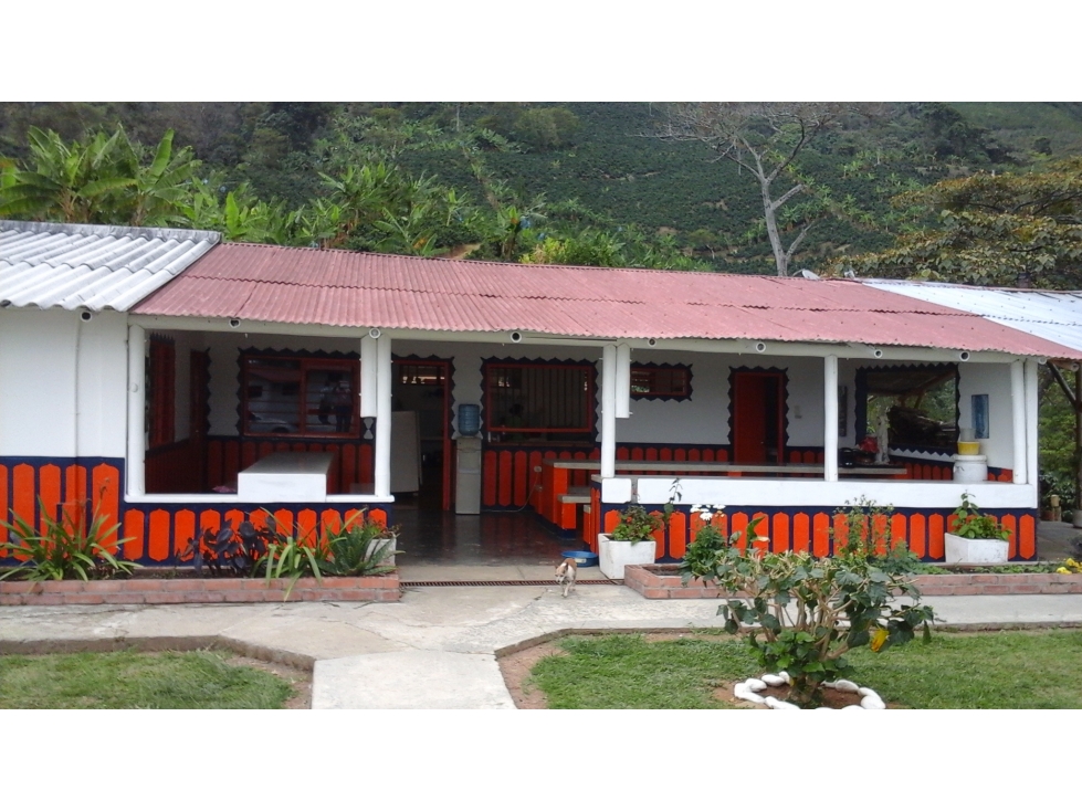 Se vende finca de 46 cuadras en Córdoba Quindío - 2