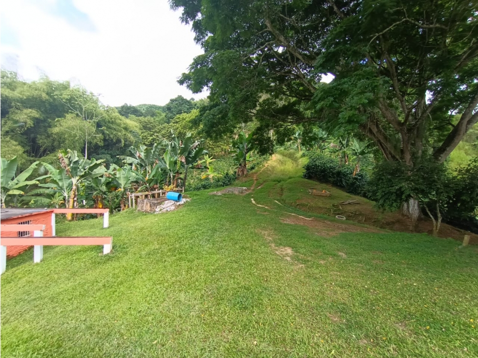 Venta Finca en Buenavista de 17 cuadras - 6